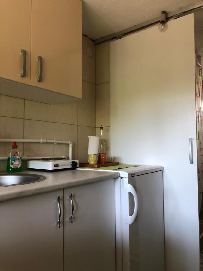Kuca Za Odmor Davidovic Apartment Despotovac Exterior photo